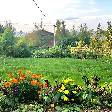 Holiday home Ilidza Nature Sarajevo