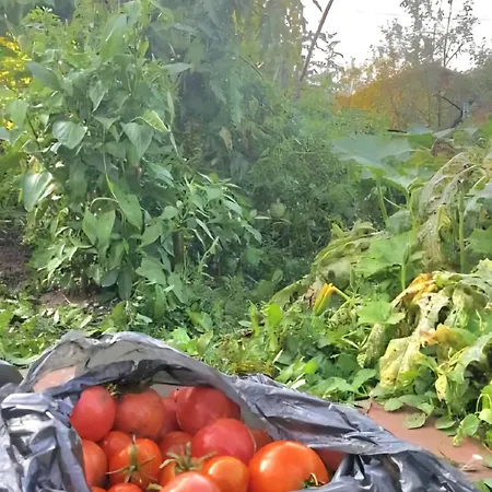 Сasa de vacaciones Ilidza Nature *